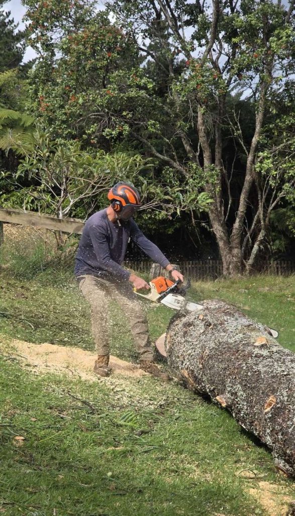 arborist-northwest-auckland arborist-northwest-auckland