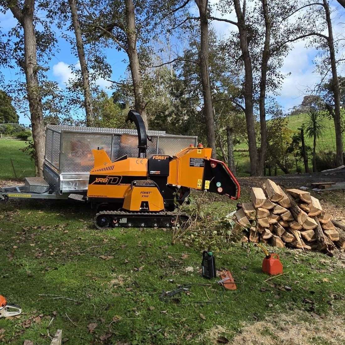 difficult-access-tree-removal