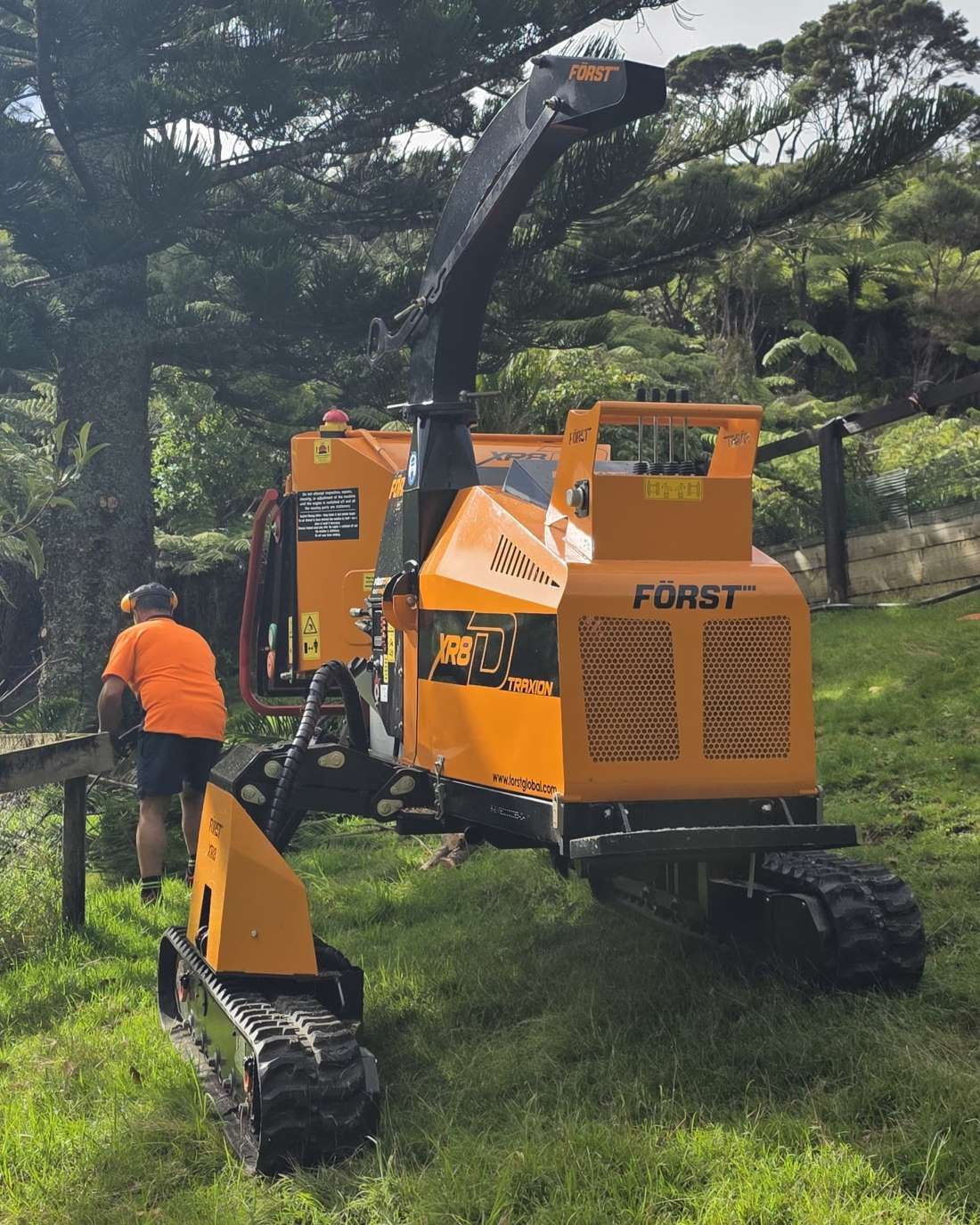 difficult-tree-removal-waimauku