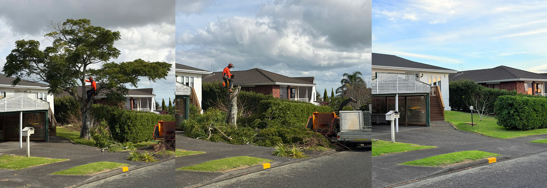 tree-removal-kumeu