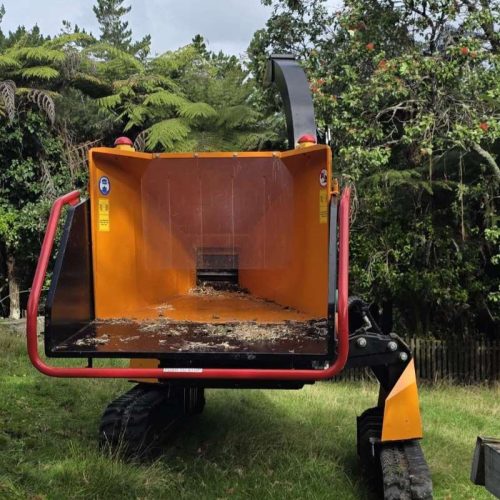 tree-removal-kumeu