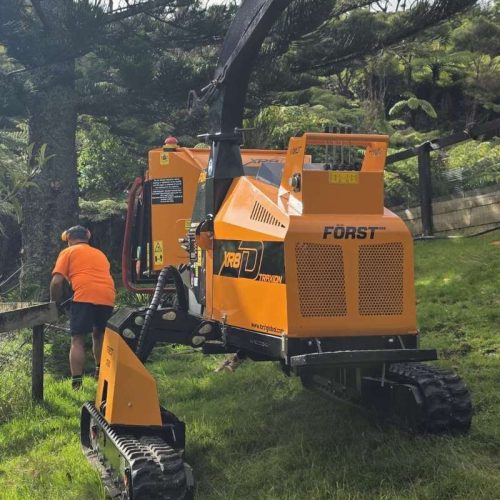 tree-removal-northwest-auckland