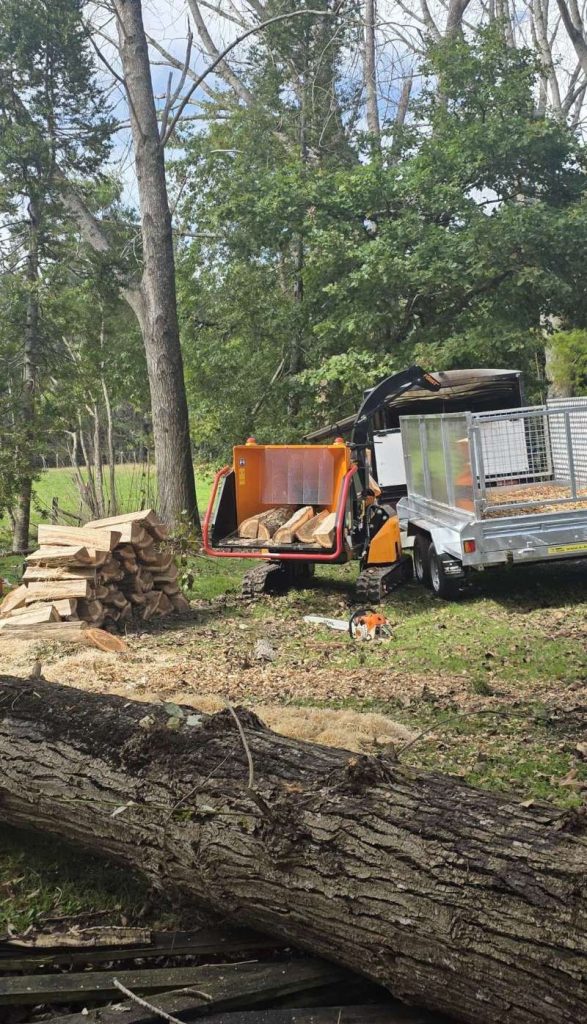 tree-removal-services-northwest-auckland tree-removal-services-northwest-auckland